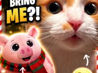 cat christmas 41-50