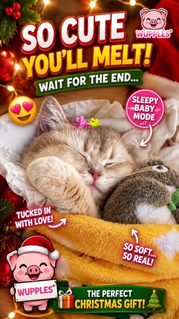 cat christmas 51-60