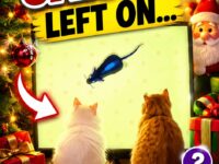 cat christmas 61-70