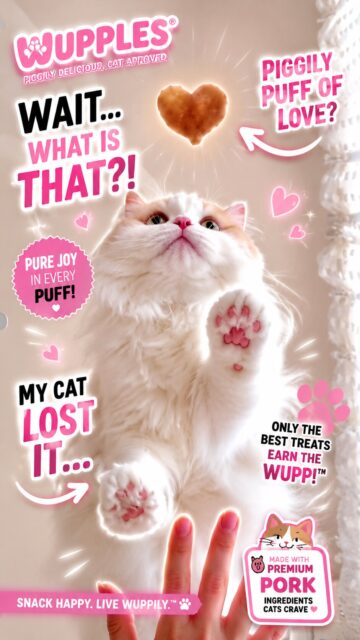 cats 1-10