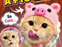 cats 21-30