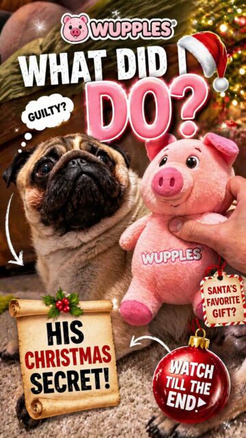 dog christmas 11-15