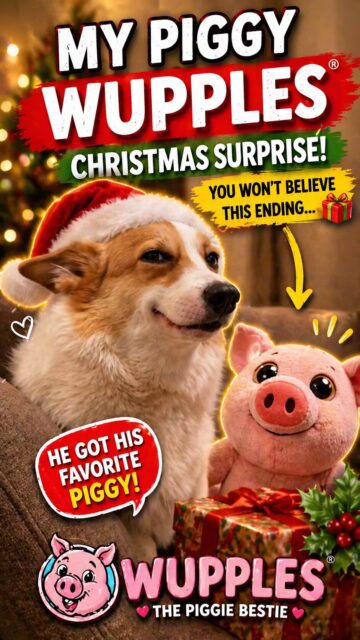 dog christmas 16-20