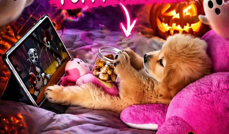 WUPPLES® Dog Halloween 🎃 #wupples 1-10