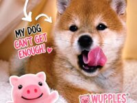 dogs 21-30