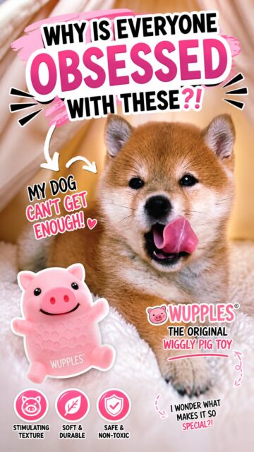 dogs 21-30
