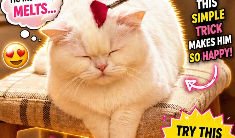 WUPPLES® White Cats 😻 #wupples 1-5