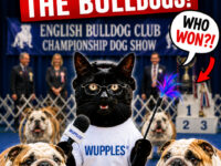English bulldog vertical