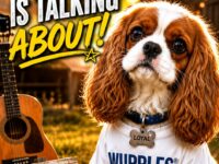 Cavalier King Charles Spaniel vertical