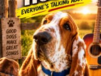 Basset hound vertical
