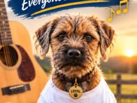 Border terrier vertical